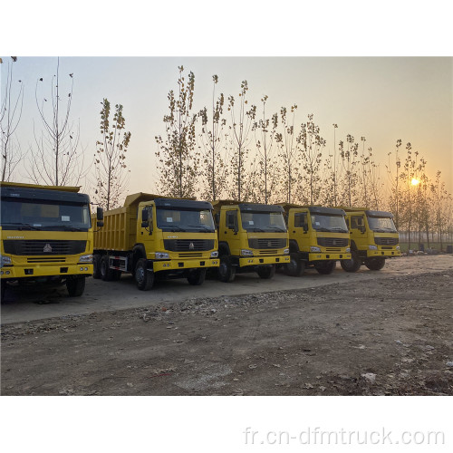 Camion à benne basculante HOWO 6X4 371HP d&#39;occasion remis à neuf